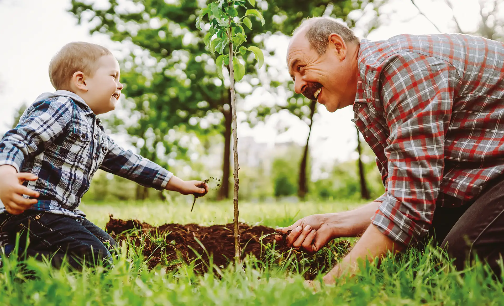 Großvater und Kind in einem Garten